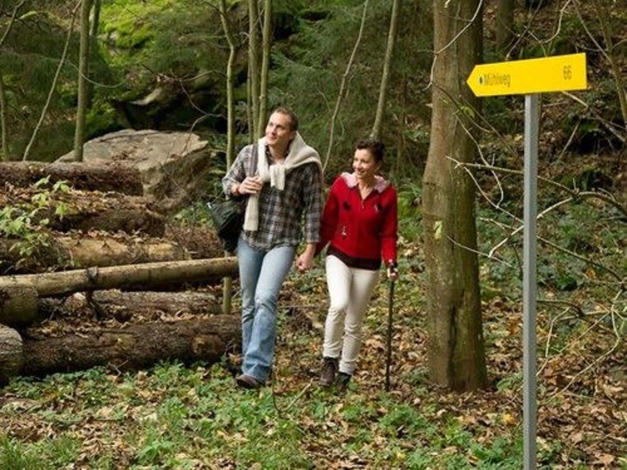 Hotel-Restaurant Liebnitzmuehle Raabs an der Thaya Kültér fotó